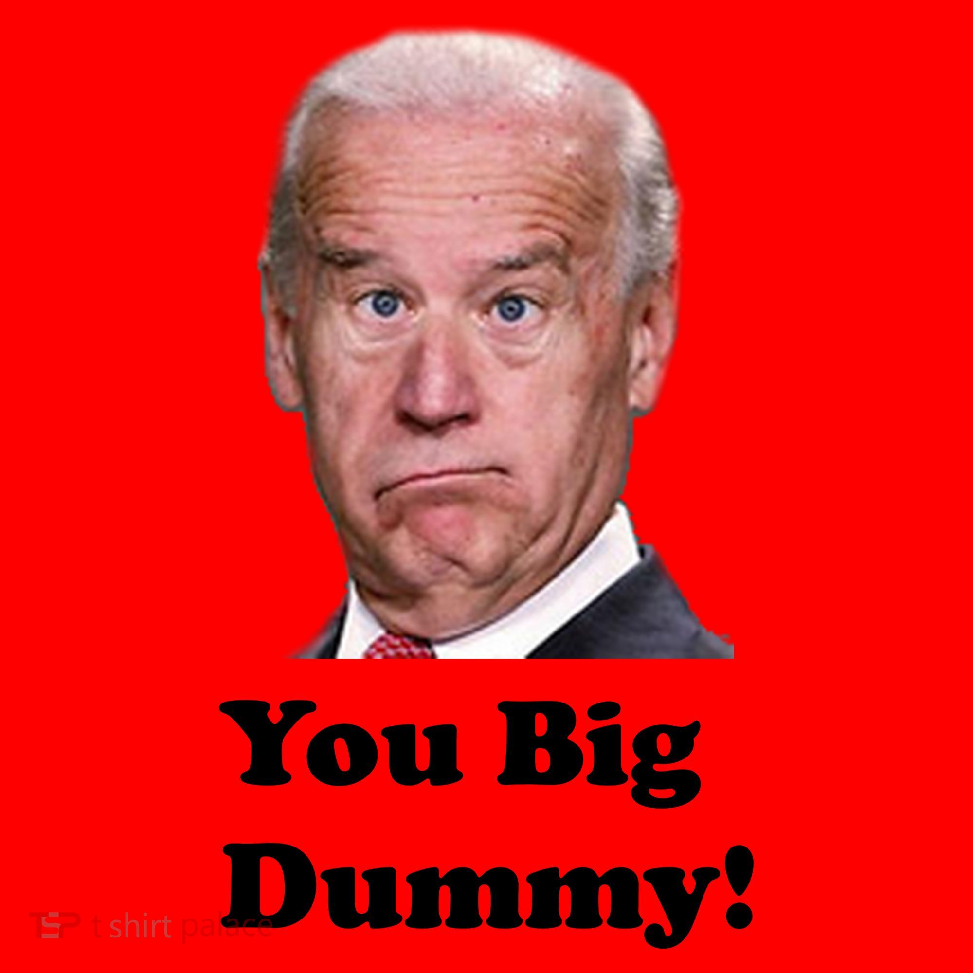 You Big Dummy Joe Biden Santa Hat