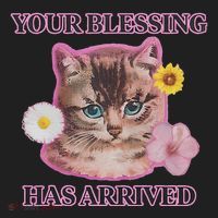 Your Blessing Has Arrived Cat & Funny Silly Catr Blessing Has Arrived Cat & Funn Women's Sweatshirt thumb 2