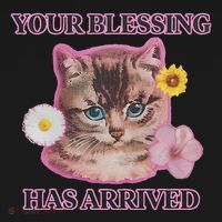 Your Blessing Has Arrived Cat & Funny Silly Catr Blessing Has Arrived Cat & Funn Bucket Hat thumb 4