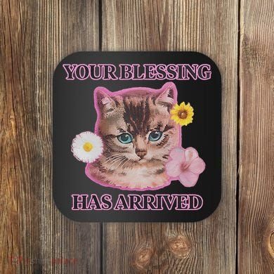 Your Blessing Has Arrived Cat & Funny Silly Catr Blessing Has Arrived Cat & Funn Coaster