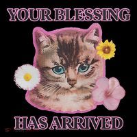 Your Blessing Has Arrived Cat & Funny Silly Catr Blessing Has Arrived Cat & Funn Baby Bodysuit thumb 2