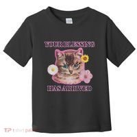 Your Blessing Has Arrived Cat & Funny Silly Catr Blessing Has Arrived Cat & Funn Toddler T-Shirt thumb 0