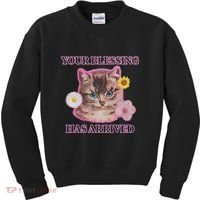 Your Blessing Has Arrived Cat & Funny Silly Catr Blessing Has Arrived Cat & Funn Kids Sweatshirt thumb 0