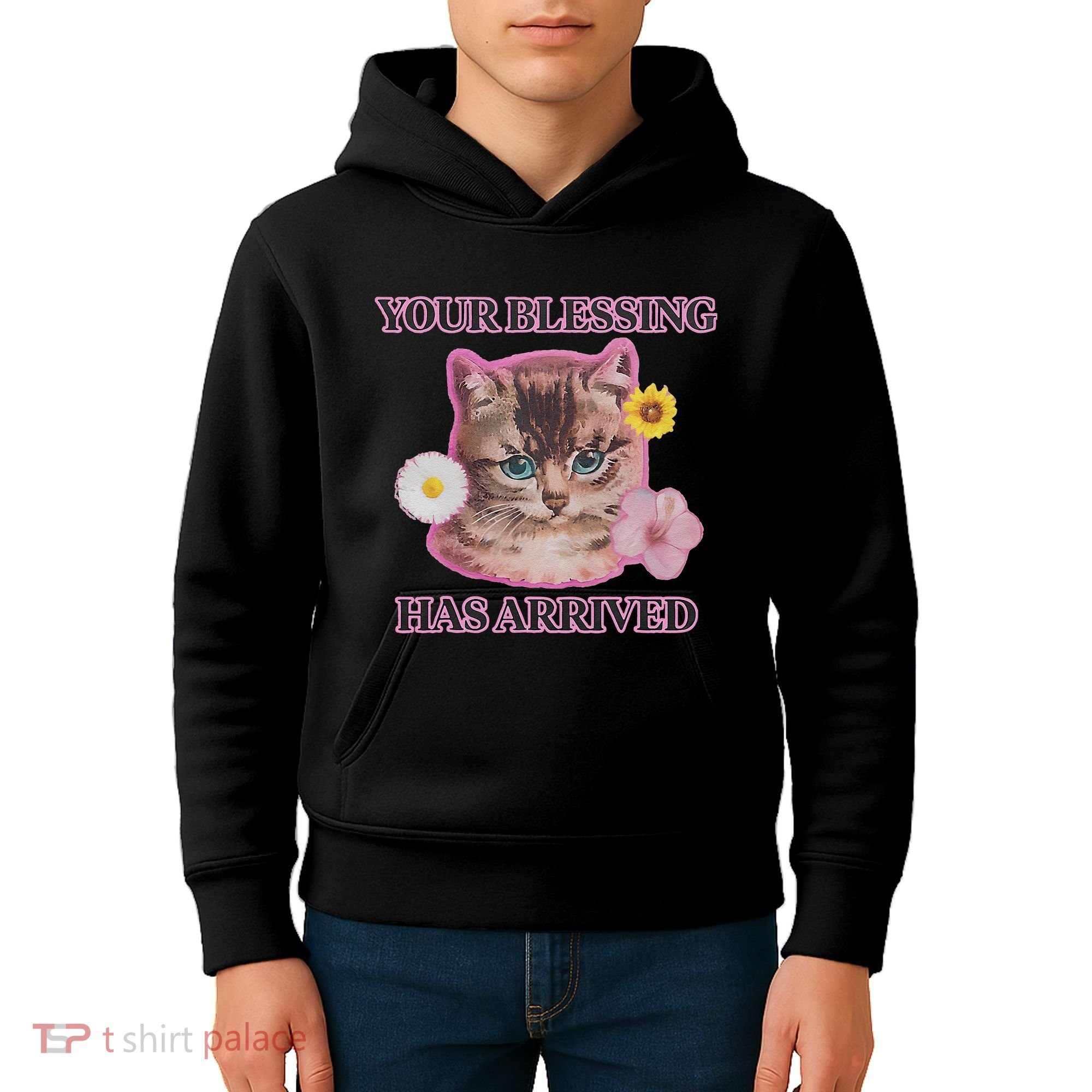 Your Blessing Has Arrived Cat & Funny Silly Catr Blessing Has Arrived Cat & Funn Kids Hoodie