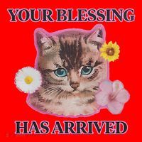 Your Blessing Has Arrived Cat & Funny Silly Catr Blessing Has Arrived Cat & Funn Santa Hat thumb 1
