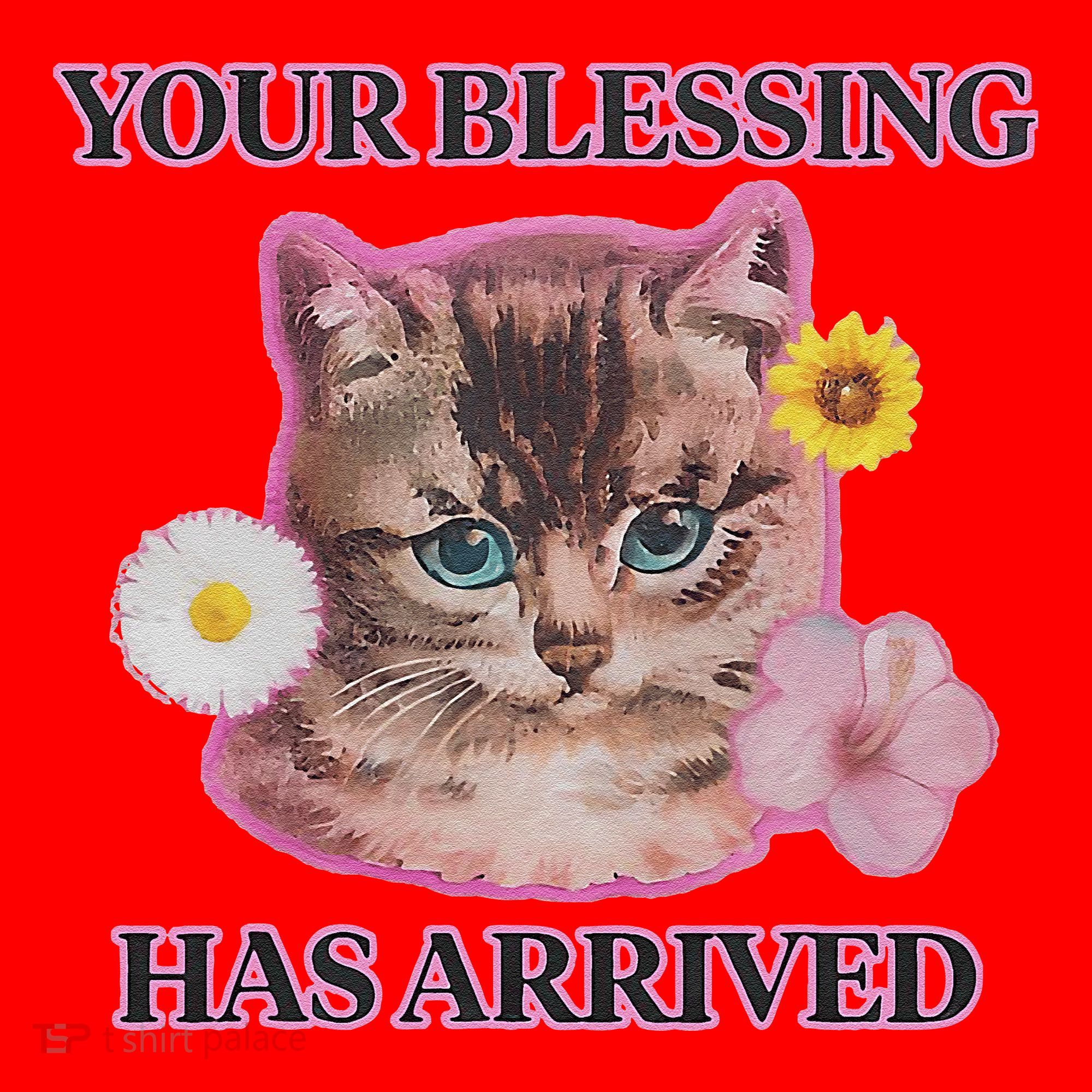 Your Blessing Has Arrived Cat & Funny Silly Catr Blessing Has Arrived Cat & Funn Santa Hat