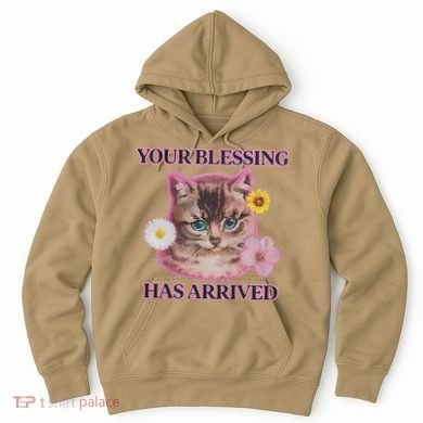 Your Blessing Has Arrived Cat & Funny Silly Catr Blessing Has Arrived Cat & Funn Hoodie