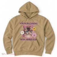 Your Blessing Has Arrived Cat & Funny Silly Catr Blessing Has Arrived Cat & Funn Hoodie thumb 0