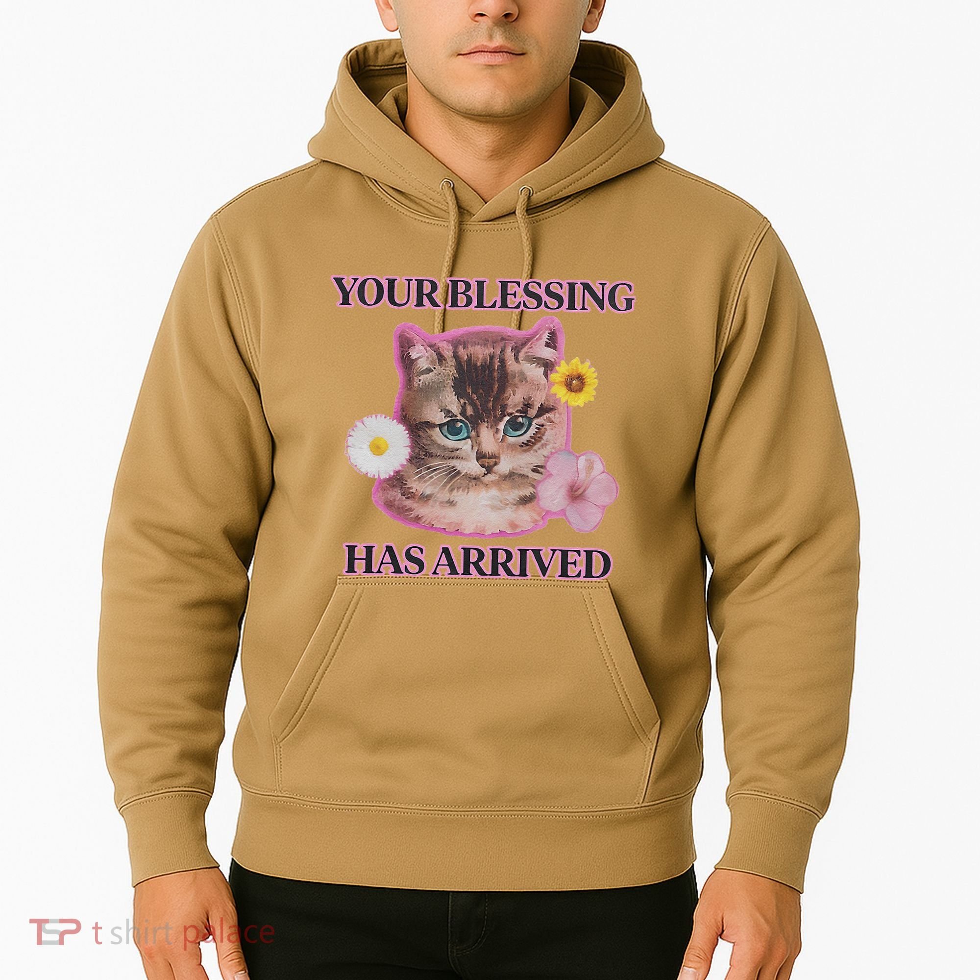 Your Blessing Has Arrived Cat & Funny Silly Catr Blessing Has Arrived Cat & Funn Hoodie