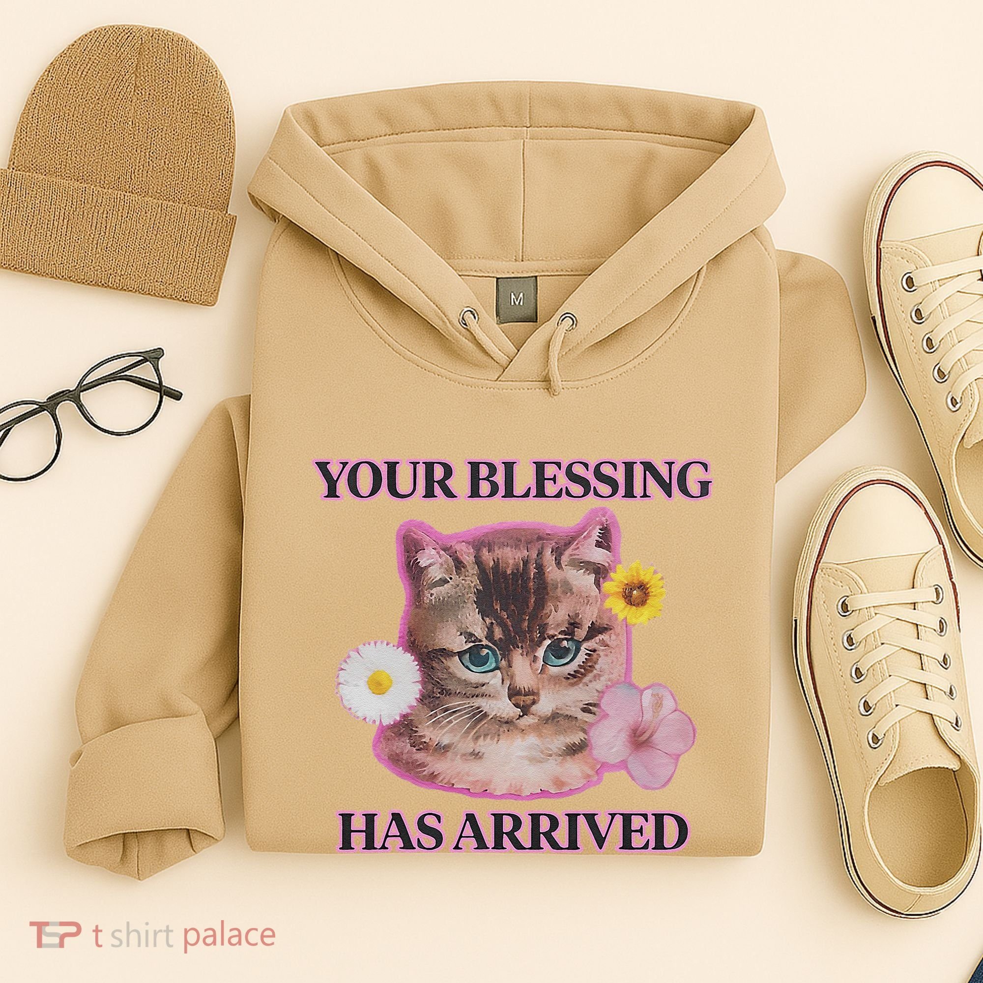 Your Blessing Has Arrived Cat & Funny Silly Catr Blessing Has Arrived Cat & Funn Hoodie