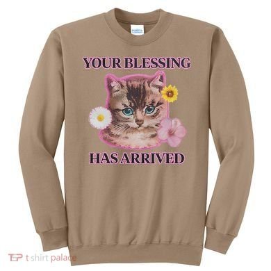 Your Blessing Has Arrived Cat & Funny Silly Catr Blessing Has Arrived Cat & Funn Sweatshirt