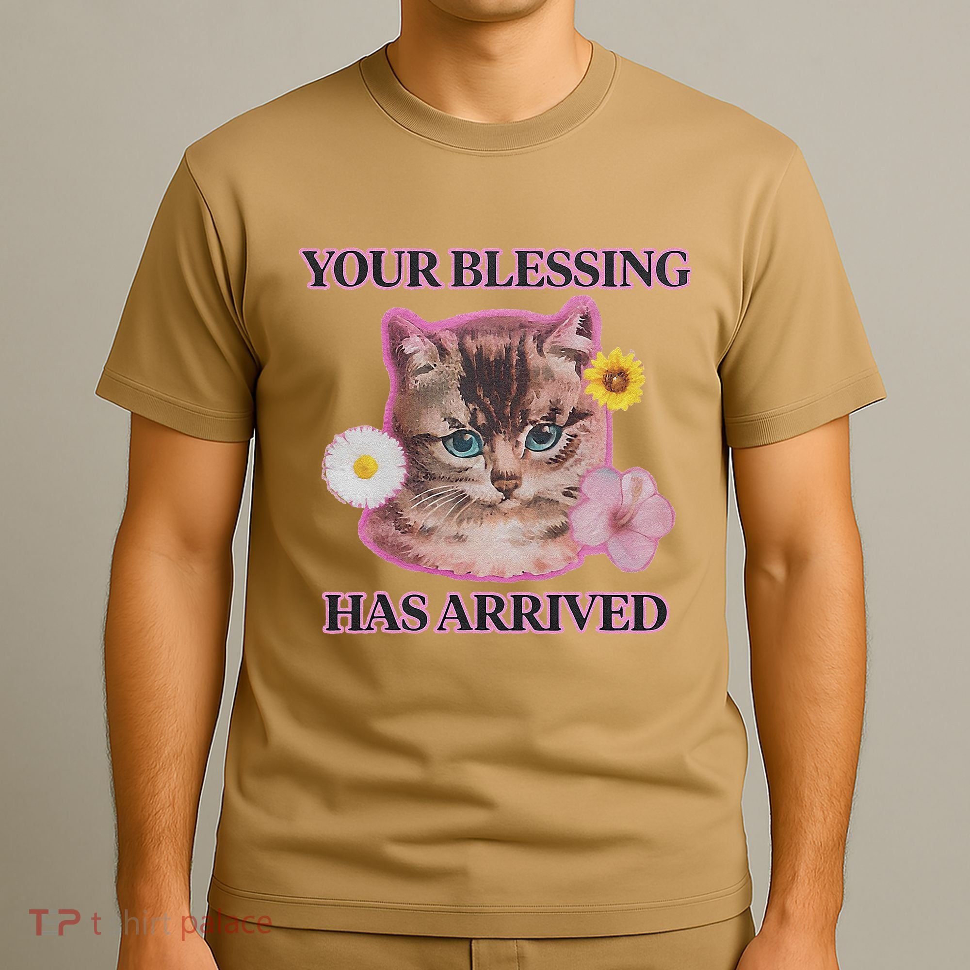Your Blessing Has Arrived Cat & Funny Silly Catr Blessing Has Arrived Cat & Funn T-Shirt