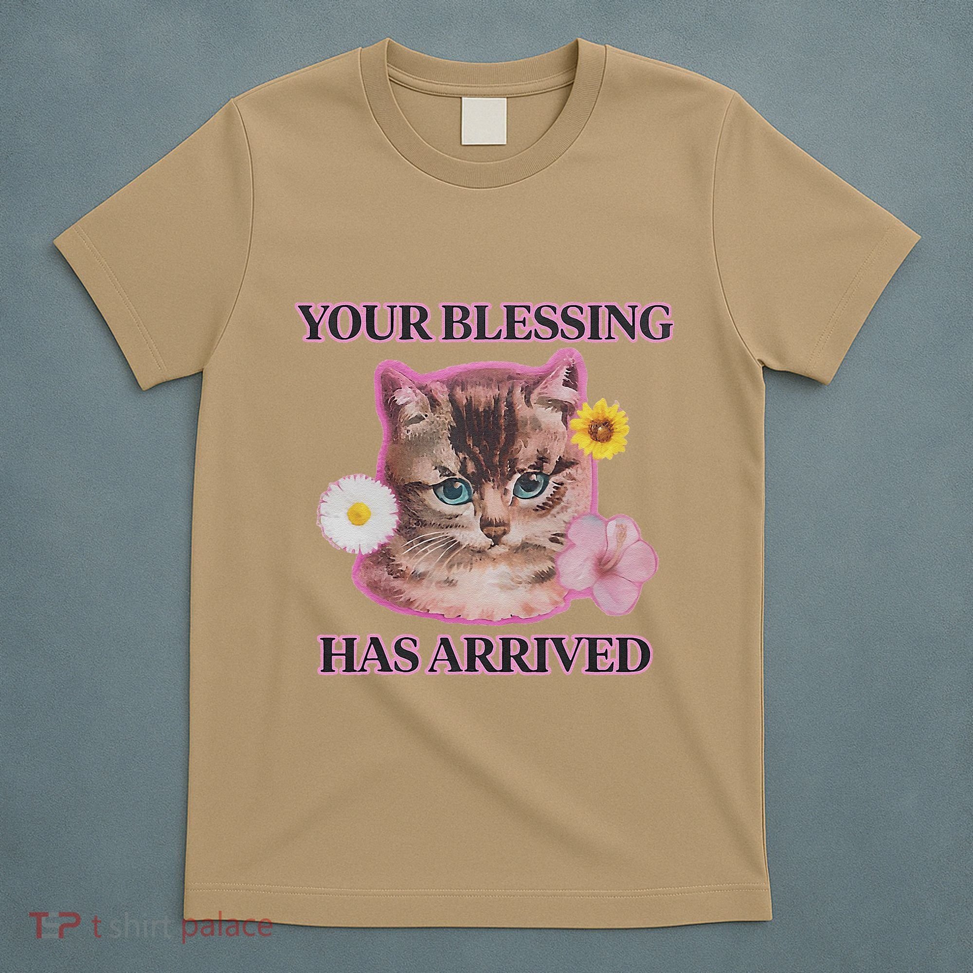 Your Blessing Has Arrived Cat & Funny Silly Catr Blessing Has Arrived Cat & Funn T-Shirt
