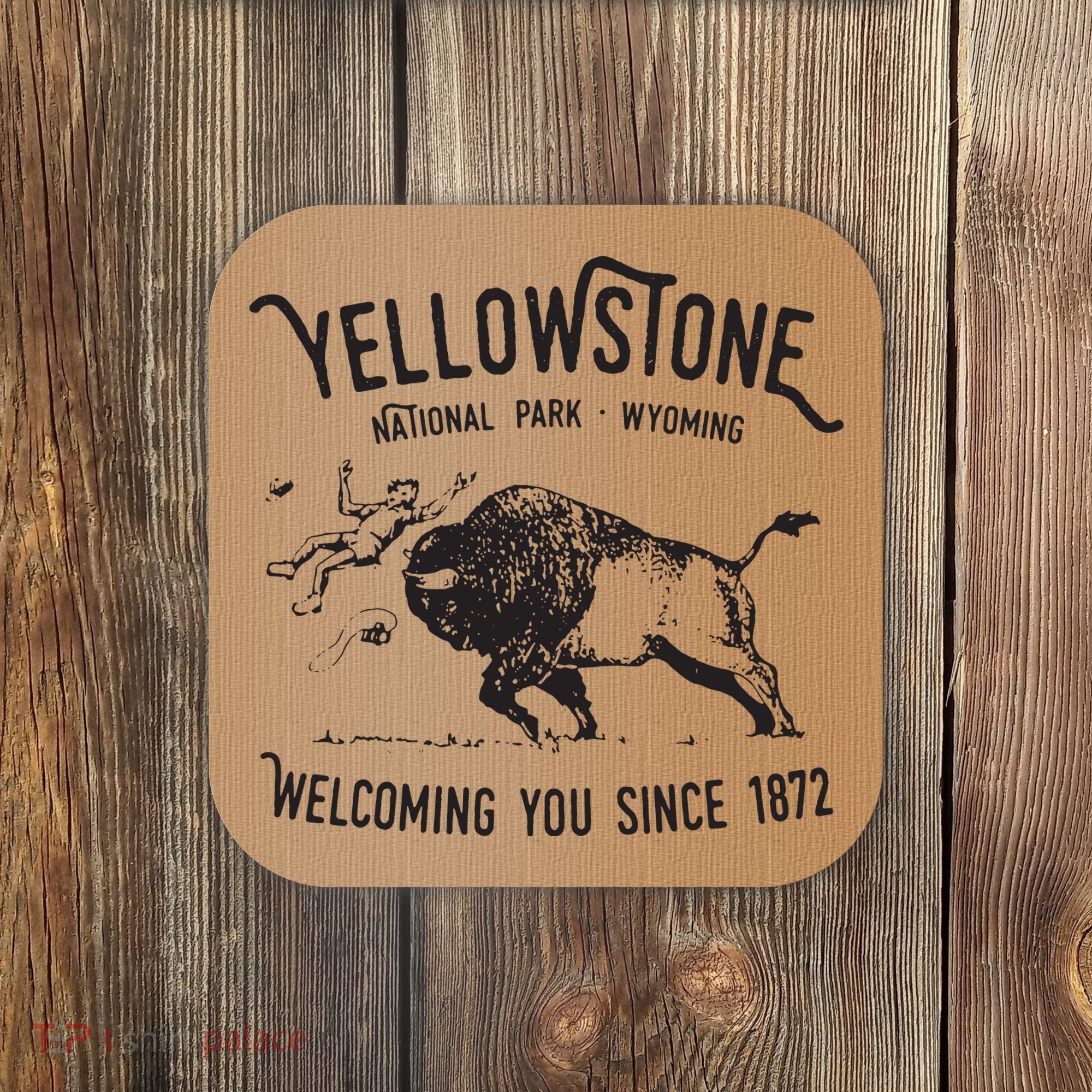 Yellowstone Bison Toss National Park Wyoming Coaster