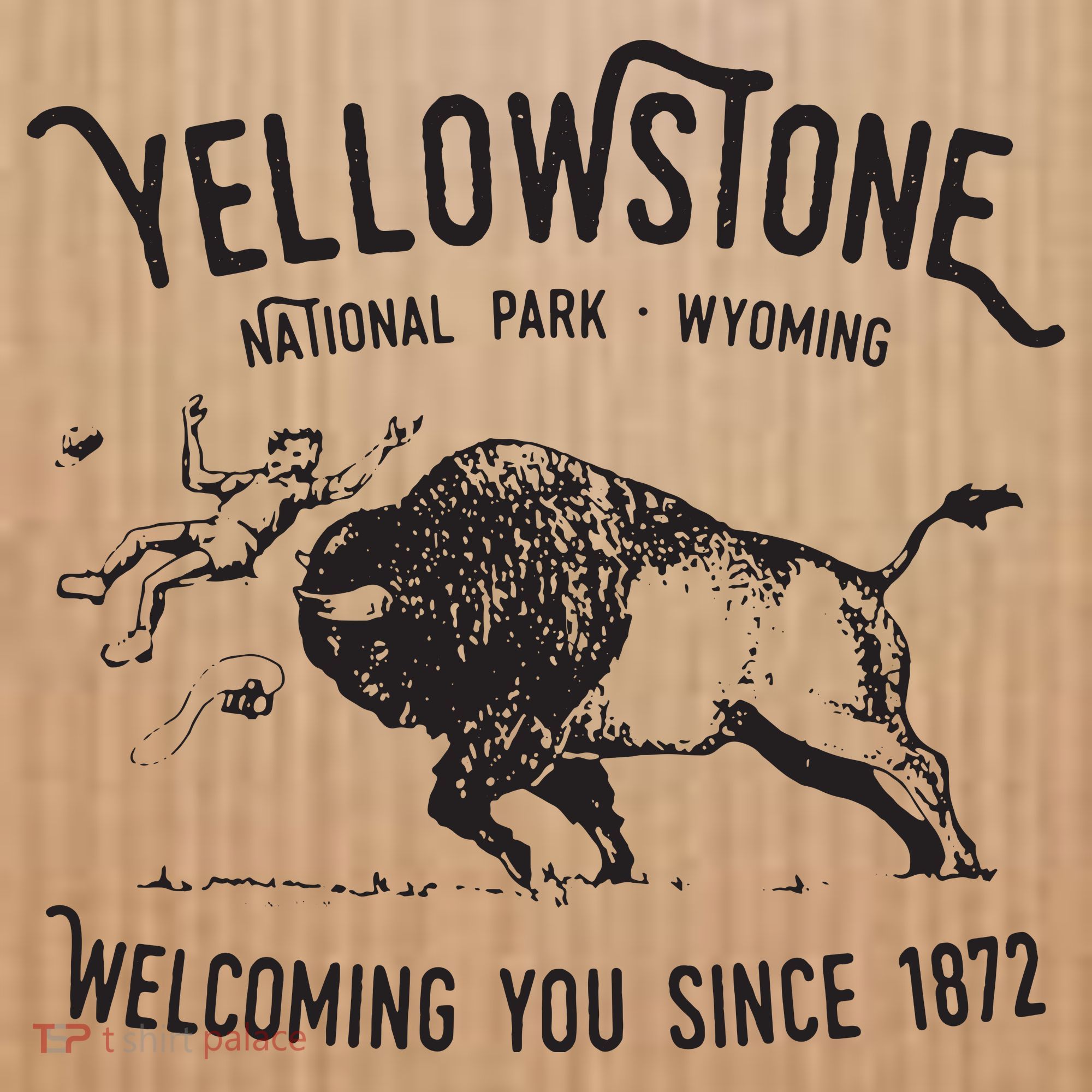 Yellowstone Bison Toss National Park Wyoming Coaster