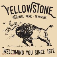 Yellowstone Bison Toss National Park Wyoming Tote Bag thumb 4