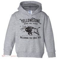 Yellowstone Bison Toss National Park Wyoming Toddler Hoodie thumb 0