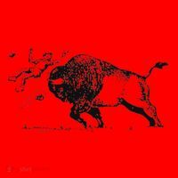Yellowstone Bison Toss Warning Flyer Santa Hat thumb 1
