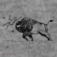 Yellowstone Bison Toss Warning Flyer Toddler Hoodie thumb 2