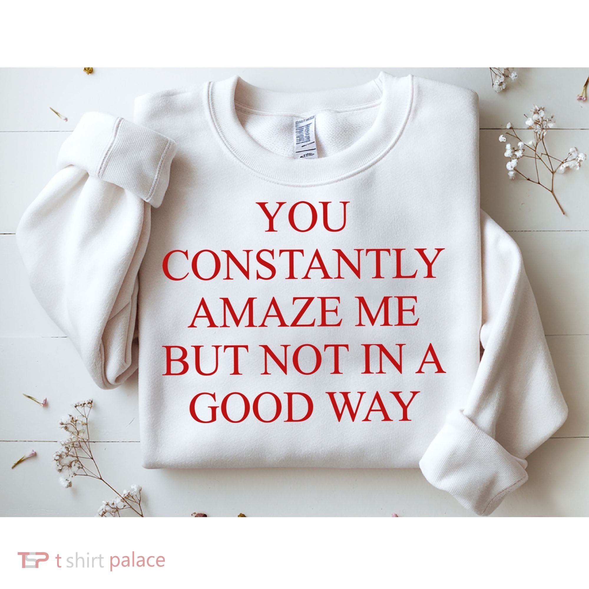 You Constantly Amaze Me But Not In A Good Way Sweatshirt