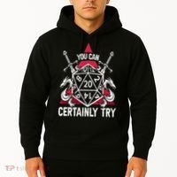 You Can Certainly Try D20 Dice Funny RPG Dragons Gamer Gift Hoodie thumb 2