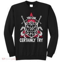 You Can Certainly Try D20 Dice Funny RPG Dragons Gamer Gift Sweatshirt thumb 0