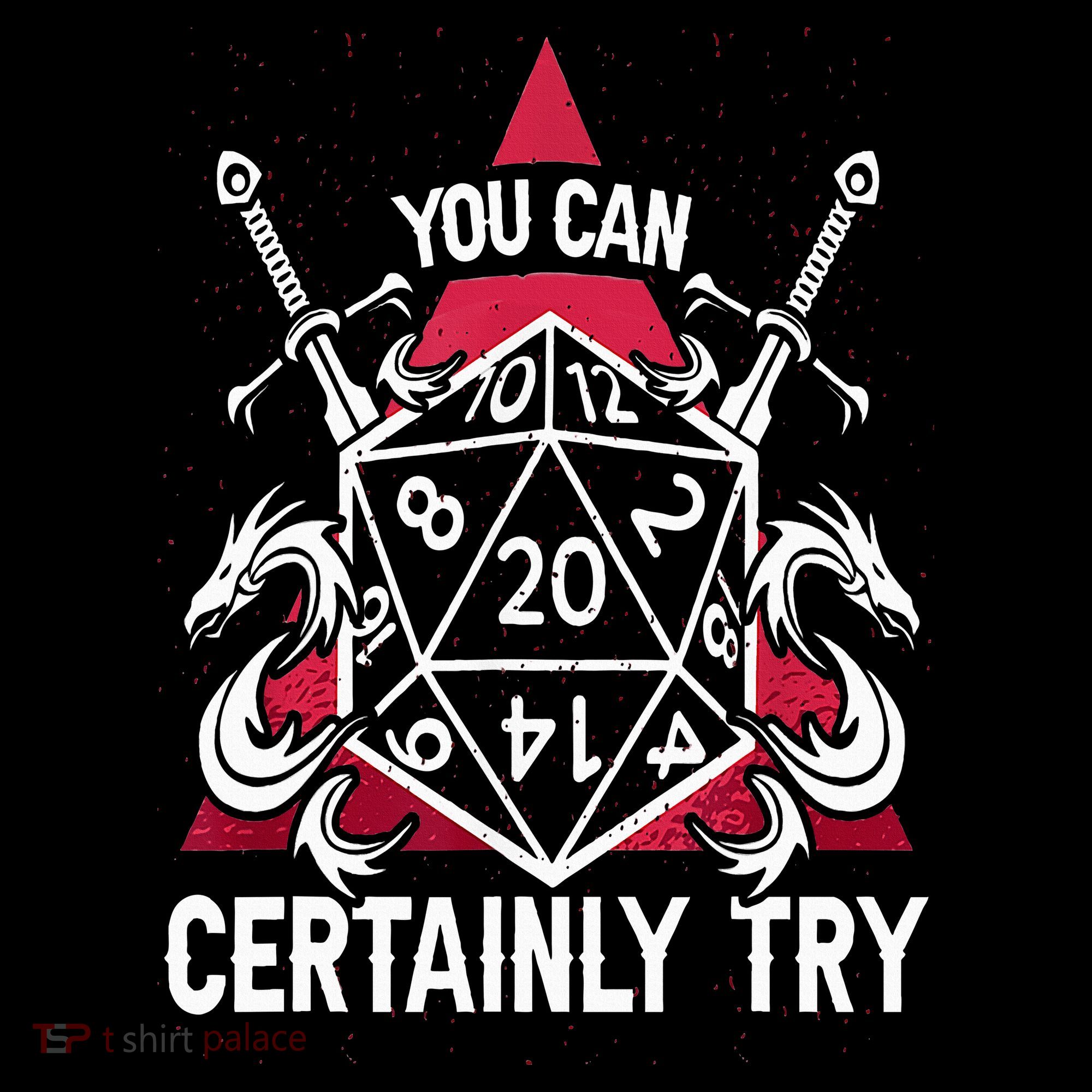 You Can Certainly Try D20 Dice Funny RPG Dragons Gamer Gift Women's Hoodie