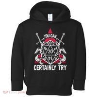 You Can Certainly Try D20 Dice Funny RPG Dragons Gamer Gift Toddler Hoodie thumb 0