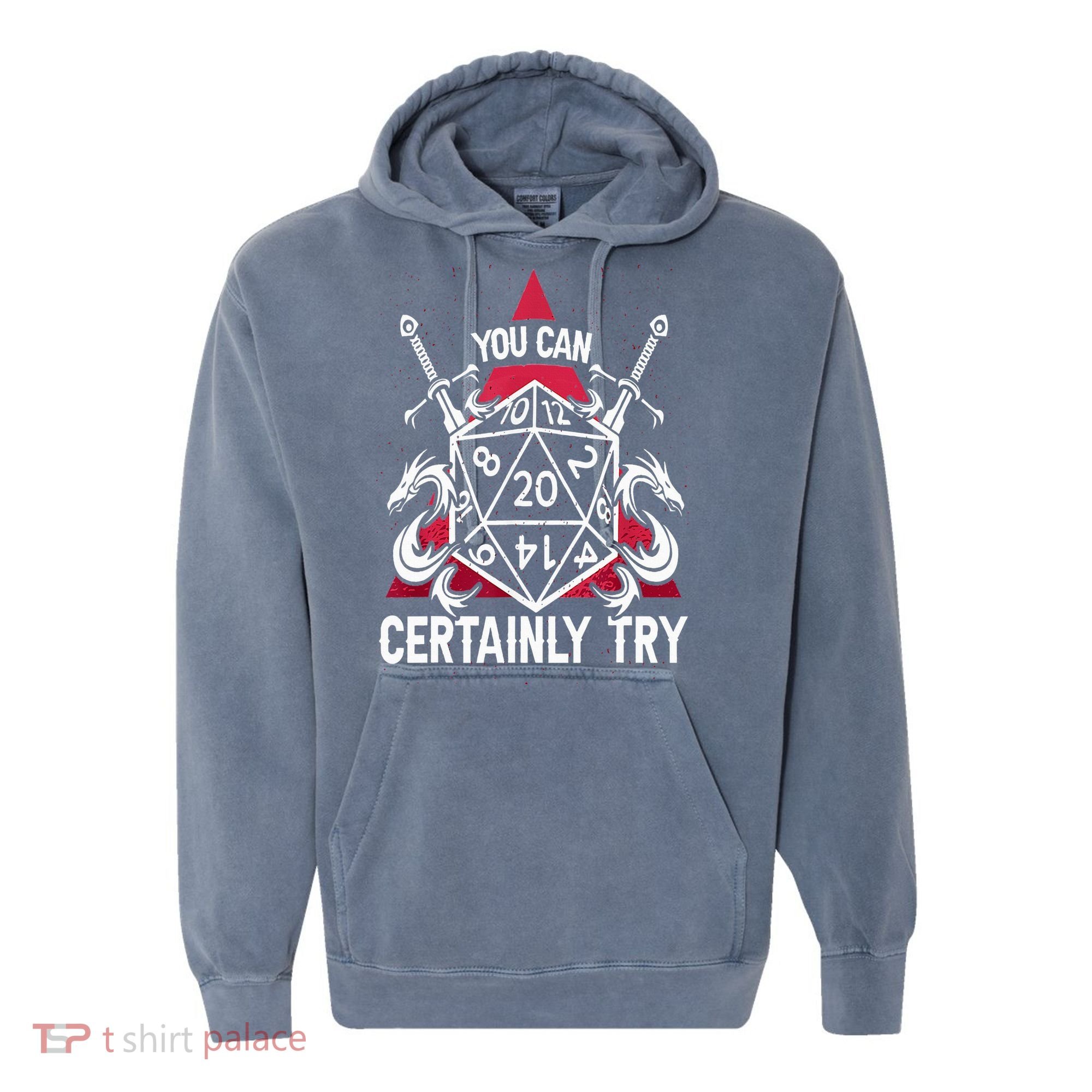 You Can Certainly Try D20 Dice Funny RPG Dragons Gamer Gift Comfort Colors Garment-Dyed Hooded Sweatshirt