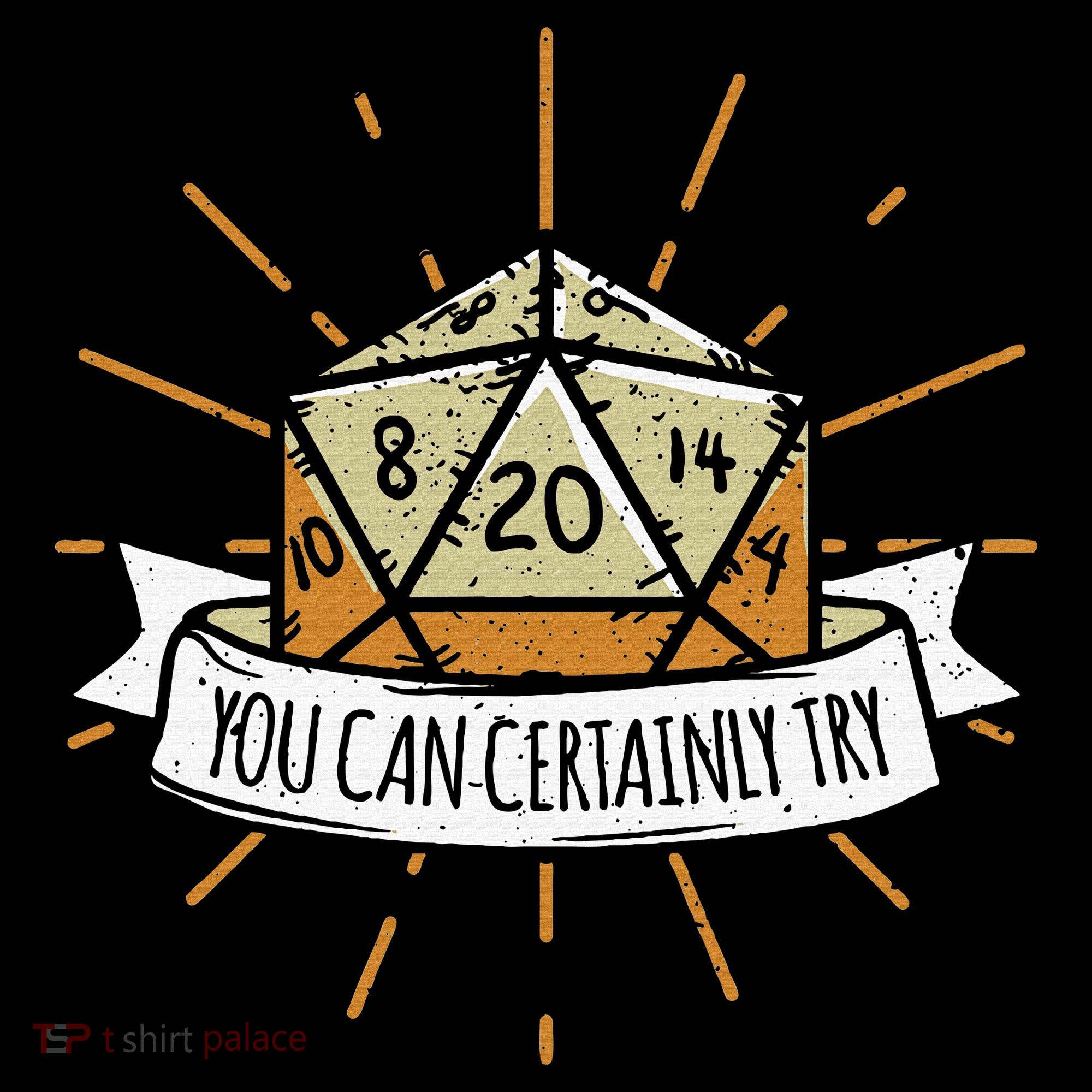 You Can Certainly Try Dragon Dice Wizard Gamer Sweatshirt
