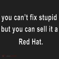 You CanT Fix Stupid But You Can Sell It A Red Hat Funny Beanie thumb 2