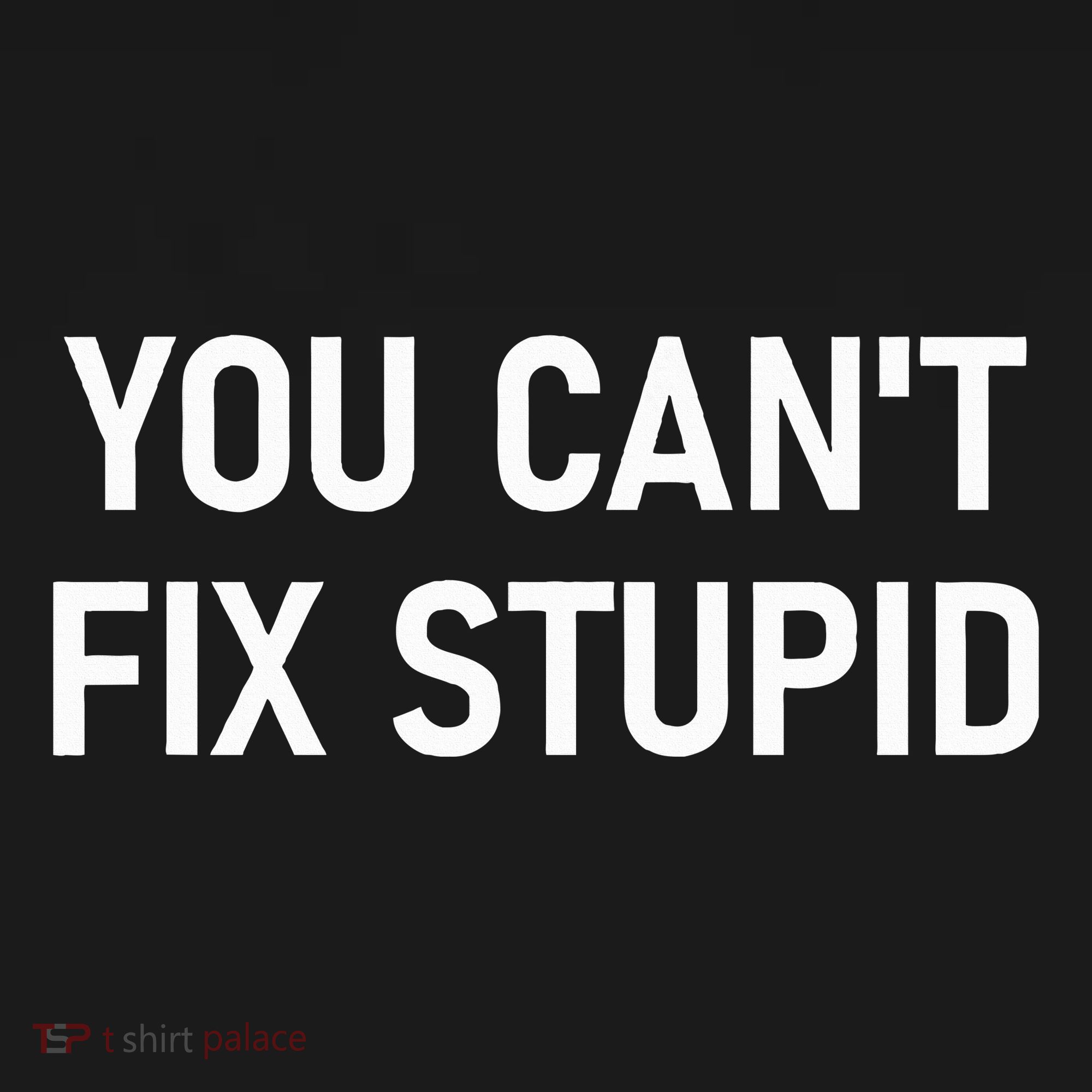 You CanT Fix Stupid Funny Sarcastic Jokes Family Sweatshirt