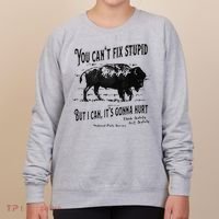 You Can’t Fix Stupid But I Can Its Gonna Hurt Women's Sweatshirt thumb 0