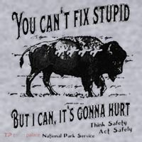 You Can’t Fix Stupid But I Can Its Gonna Hurt Women's Sweatshirt thumb 2