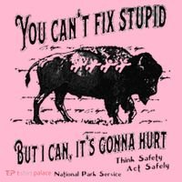 You Can’t Fix Stupid But I Can Its Gonna Hurt Coaster thumb 2