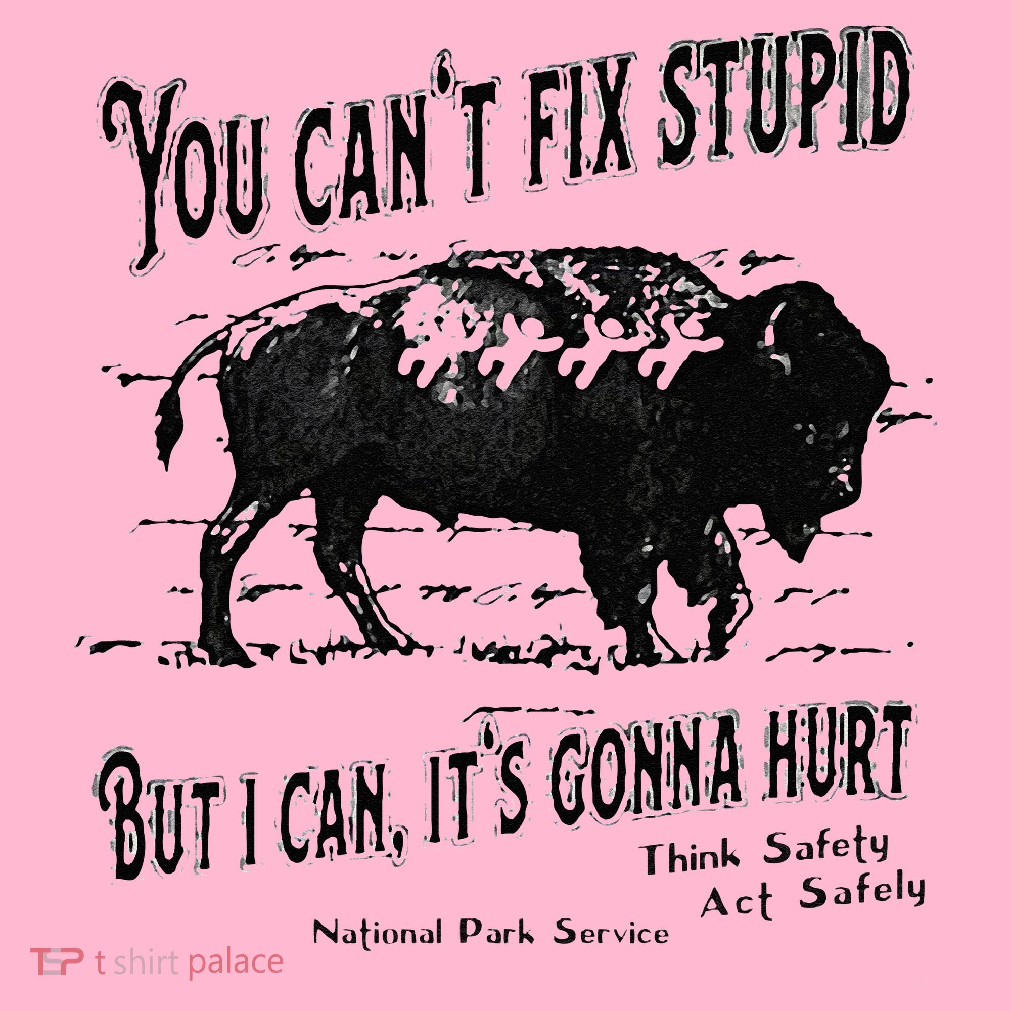 You Can’t Fix Stupid But I Can Its Gonna Hurt Coaster