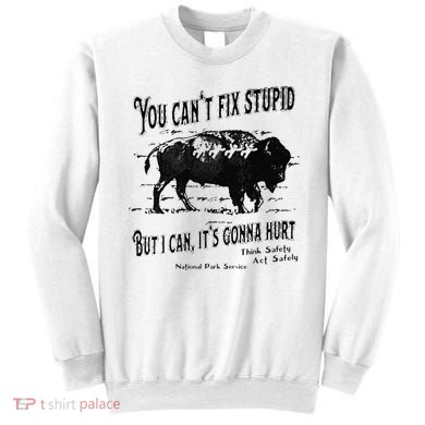 You Can’t Fix Stupid But I Can Its Gonna Hurt Sweatshirt