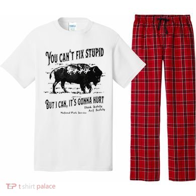 You Can’t Fix Stupid But I Can Its Gonna Hurt Pajama Set