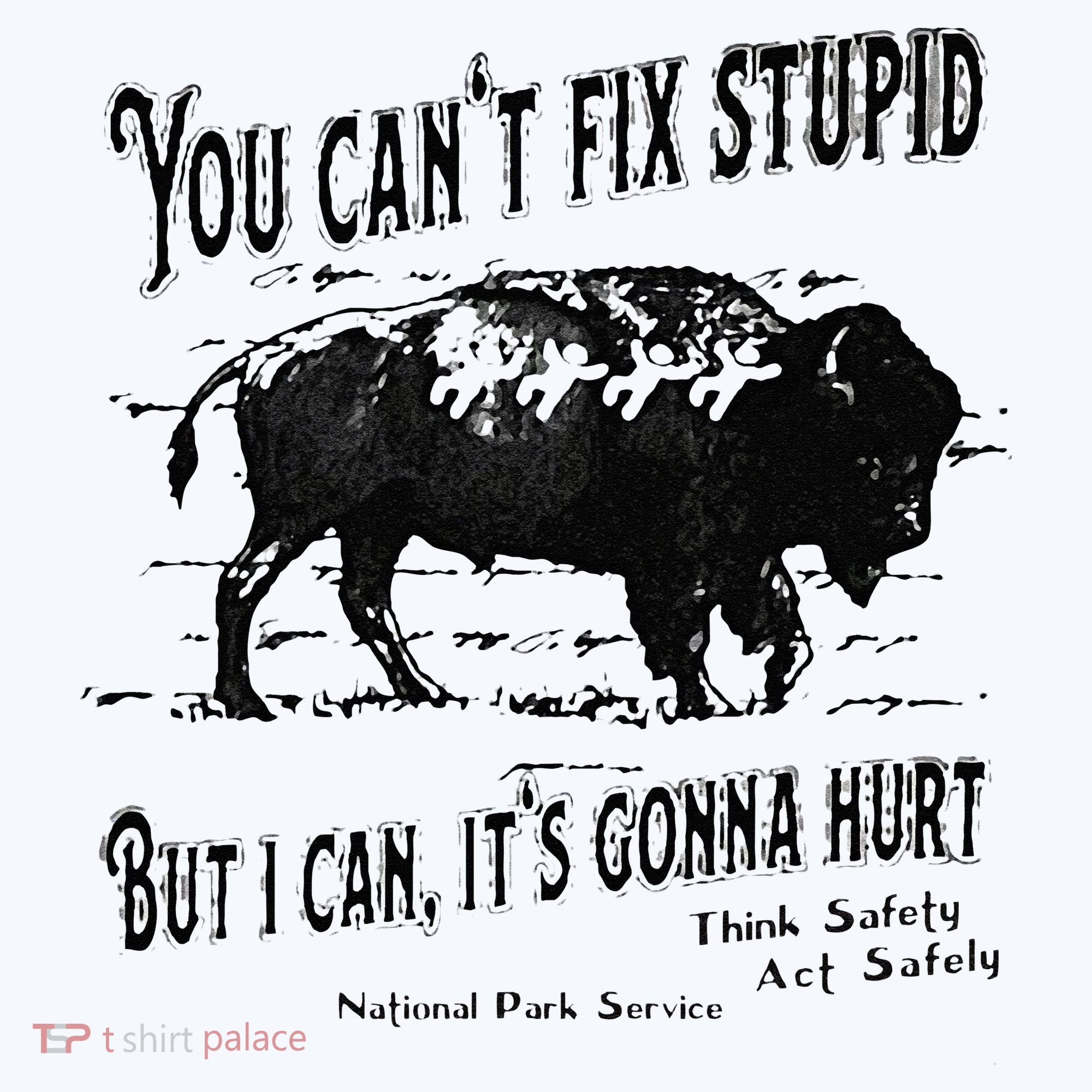 You Can’t Fix Stupid But I Can Its Gonna Hurt Women's Tank Top