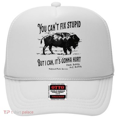 You Can’t Fix Stupid But I Can Its Gonna Hurt Hat