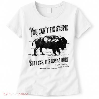 You Can’t Fix Stupid But I Can Its Gonna Hurt Women's T-Shirt