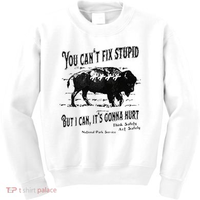 You Can’t Fix Stupid But I Can Its Gonna Hurt Kids Sweatshirt