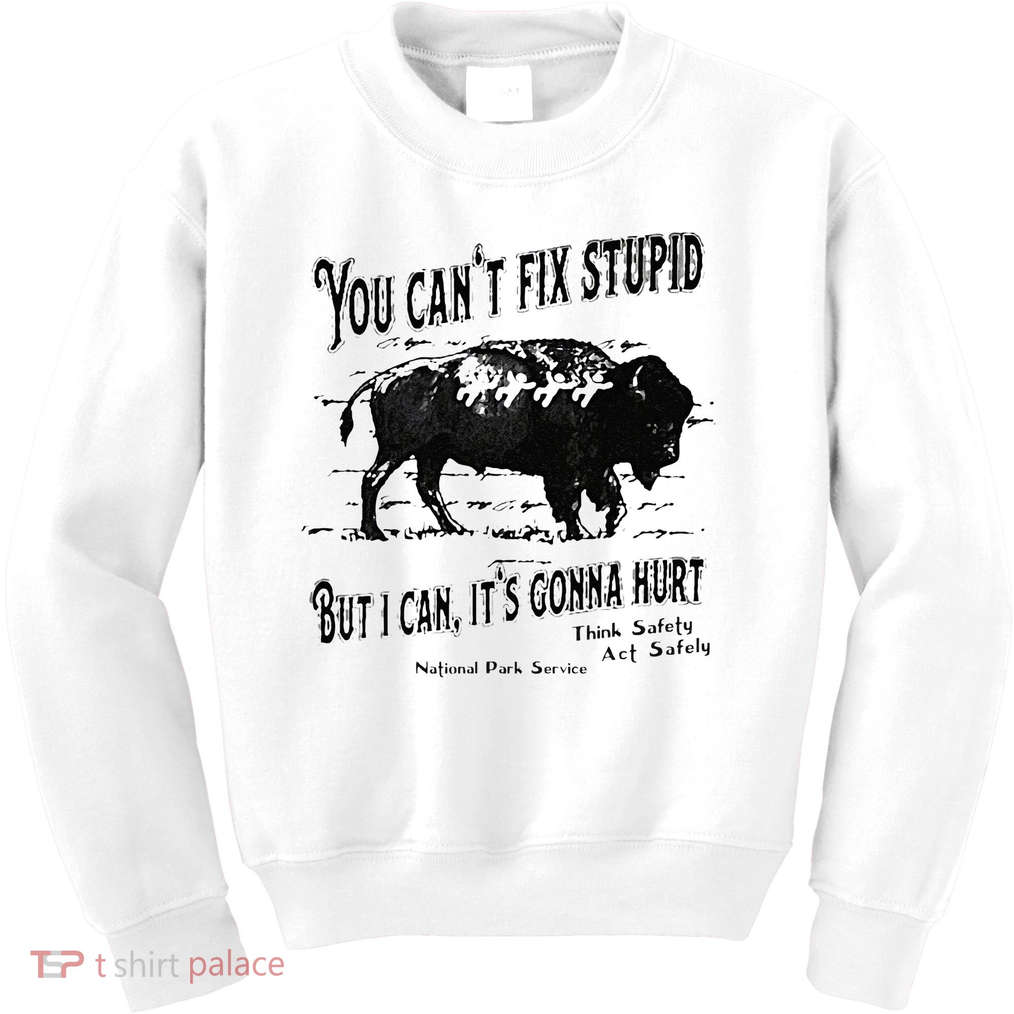 You Can’t Fix Stupid But I Can Its Gonna Hurt Kids Sweatshirt