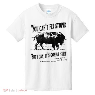 You Can’t Fix Stupid But I Can Its Gonna Hurt Kids T-Shirt