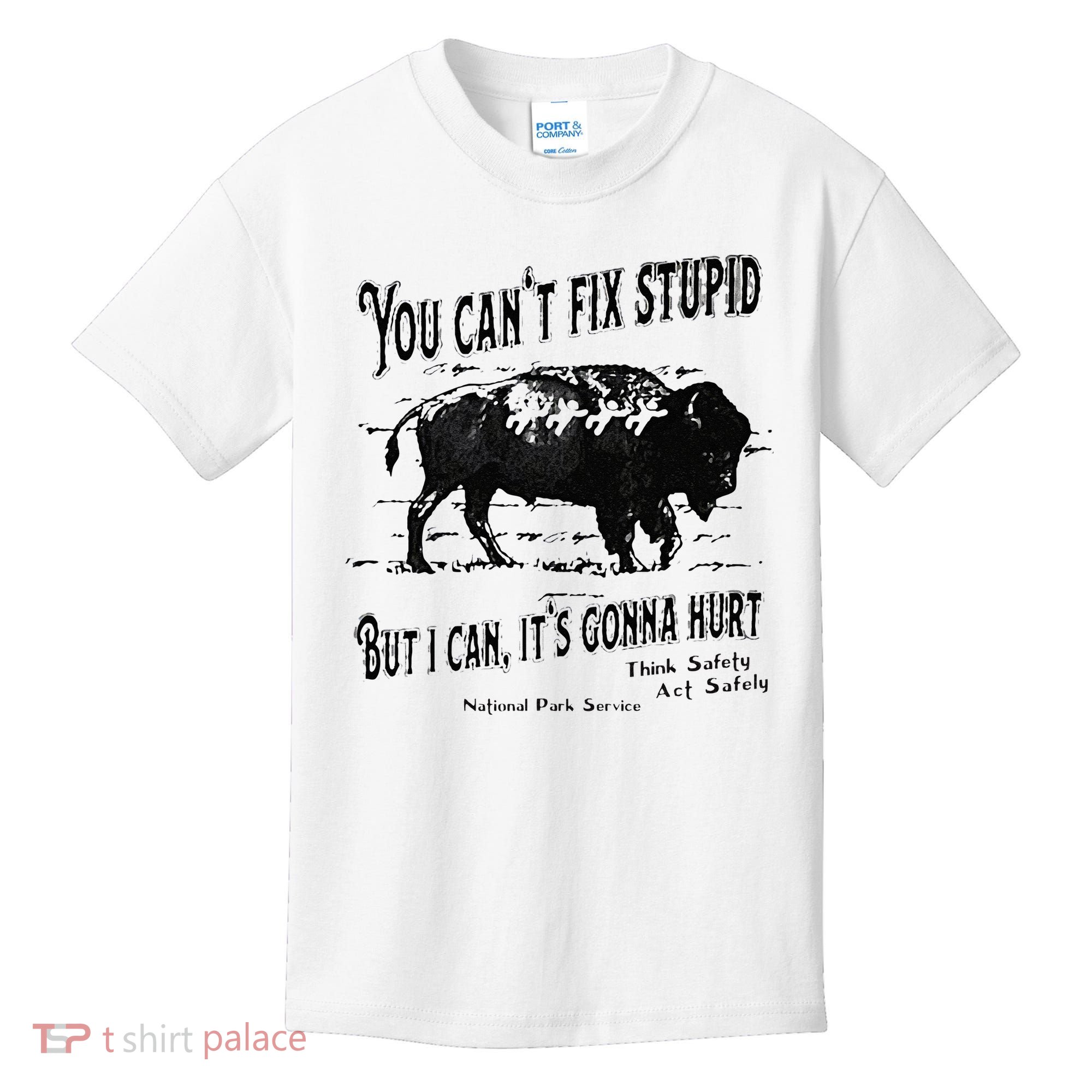 You Can’t Fix Stupid But I Can Its Gonna Hurt Kids T-Shirt