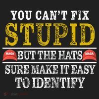 You Can't Fix Stupid But The Hats Sure Make It Easy To Identify Funny Women's Sweatshirt thumb 2