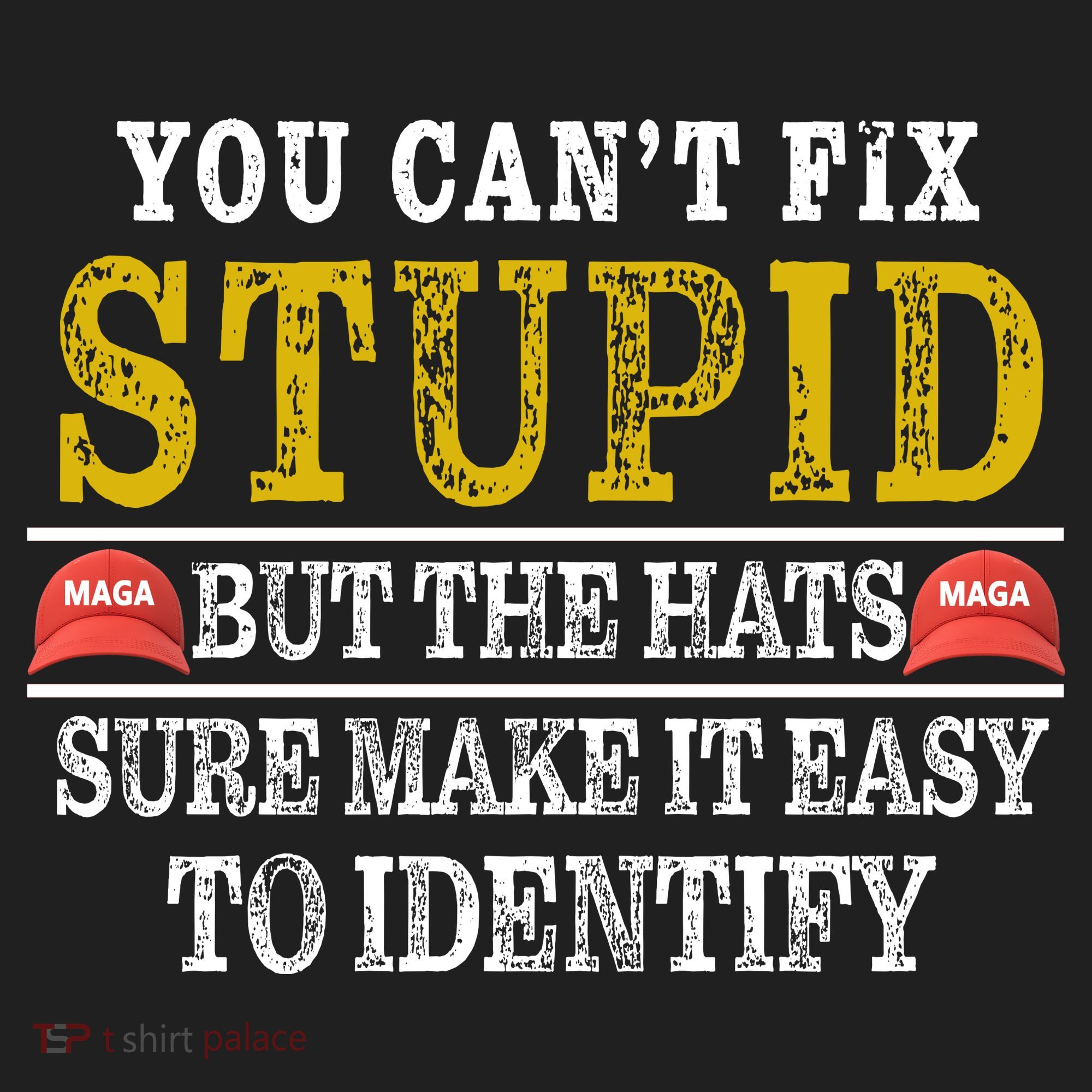 You Can't Fix Stupid But The Hats Sure Make It Easy To Identify Funny Women's Sweatshirt