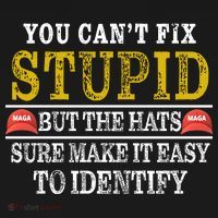 You Can't Fix Stupid But The Hats Sure Make It Easy To Identify Funny Baby Bodysuit thumb 2