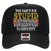 You Can't Fix Stupid But The Hats Sure Make It Easy To Identify Funny Hat thumb 0