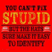 You Can't Fix Stupid But The Hats Sure Make It Easy To Identify Funny Santa Hat thumb 1